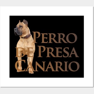 Perro de Presa Canario - Dogo Canario Posters and Art